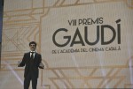 VIII Premis Gaudí 10.	David Verdaguer lliura el Premi a la millor pel·lícula d’animació a Atrapa la bandera