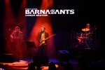 Festival Barnasants 2023 - 28a edición 