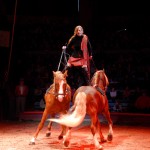 Gran Circo de Navidad de Girona 'Mágico' Gaby Dew - volteo olímpico - Francia