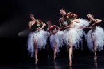 Ballet David Campos - 25 años 