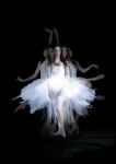Ballet David Campos - 25 años 