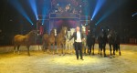 Gran Circo de Navidad de Girona 'Mágico' Sacha Houcke - Caballos - Francia