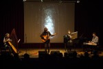 XX Barnasants. Festival de cançó d'autor Xavier Baró a l'Auditori Barradas. Diumenge 15 de febrer